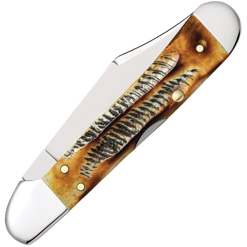 Case Mini CopperLock | 6.5 BoneStag | Tru-Sharp Stainless Lockback