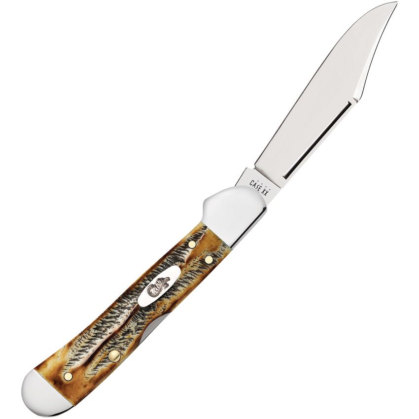 Case Mini CopperLock | 6.5 BoneStag | Tru-Sharp Stainless Lockback